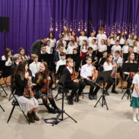 Zdjęcie ilustracyjne wiadomości: Koncert świąteczno -noworoczny Szkoły Muzycznej I stopnia #9