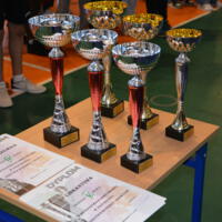 Zdjęcie ilustracyjne wiadomości: Mistrzostwa Gminy Chełmiec w piłce ręcznej Szkół Podstawowych klas VII – VIII Chłopców i Dziewcząt #1