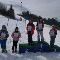 Zdjęcie ilustracyjne wiadomości: Mistrzostwa Gminy Chełmiec w narciarstwie alpejskim #1