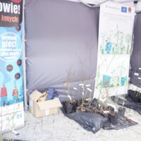 Zdjęcie ilustracyjne wiadomości: „Zamień plastik na czyste powietrze”  ekologiczne wydarzenie przed Astro Centrum Chełmiec #9