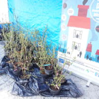 Zdjęcie ilustracyjne wiadomości: „Zamień plastik na czyste powietrze”  ekologiczne wydarzenie przed Astro Centrum Chełmiec #10