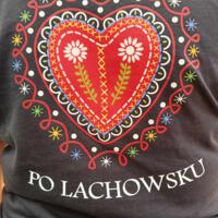 Zdjęcie ilustracyjne wiadomości: Lachowsko pogórzańskie pożegnanie lata w Librantowej #47