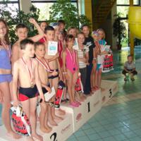 Zdjęcie ilustracyjne wiadomości: IX Mistrzostwa Pływackie Gminy Chełmiec 2011 #2