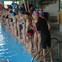 Zdjęcie ilustracyjne wiadomości: IX Mistrzostwa Pływackie Gminy Chełmiec 2011 #4