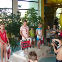 Zdjęcie ilustracyjne wiadomości: IX Mistrzostwa Pływackie Gminy Chełmiec 2011 #9
