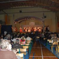Zdjęcie ilustracyjne wiadomości: Koncert Noworoczny Regionalnego Zespołu Pieśni i Tańca „Piątkowioki” #6