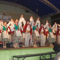 Zdjęcie ilustracyjne wiadomości: Koncert Noworoczny Regionalnego Zespołu Pieśni i Tańca „Piątkowioki” #11
