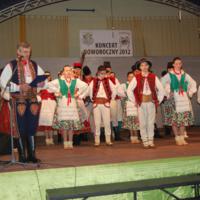 Zdjęcie ilustracyjne wiadomości: Koncert Noworoczny Regionalnego Zespołu Pieśni i Tańca „Piątkowioki” #12