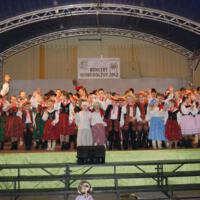 Zdjęcie ilustracyjne wiadomości: Koncert Noworoczny Regionalnego Zespołu Pieśni i Tańca „Piątkowioki” #17