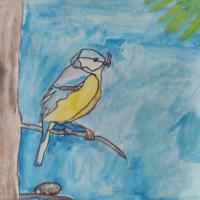 Prace konkursowe - ilustracje ptaków