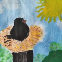 Prace konkursowe - ilustracje ptaków