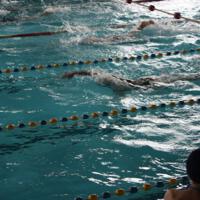 Zdjęcie ilustracyjne wiadomości: VII Mistrzostwa Pływackie Gminy Chełmiec #2