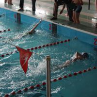 Zdjęcie ilustracyjne wiadomości: VII Mistrzostwa Pływackie Gminy Chełmiec #4