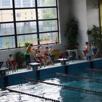Zdjęcie ilustracyjne wiadomości: VII Mistrzostwa Pływackie Gminy Chełmiec #5