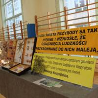 Zdjęcie ilustracyjne wiadomości: Wystawa "Skarby mórz i oceanów" w Zespole Szkół w Chełmcu #4