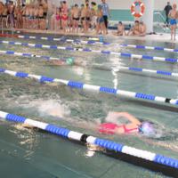 Zdjęcie ilustracyjne wiadomości: XIV Mistrzostwa Pływackie Gminy Chełmiec #3