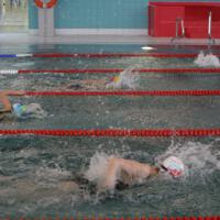 Zdjęcie ilustracyjne wiadomości: XIV Mistrzostwa Pływackie Gminy Chełmiec #4