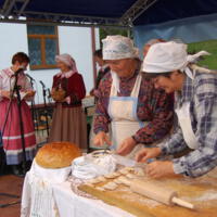 Zdjęcie ilustracyjne wiadomości: Małopolska tradycyjna i ludowa gościła w Marcinkowicach. #12