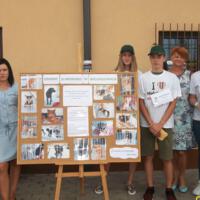Zdjęcie ilustracyjne wiadomości: Młodzież ze Świnarska zachęca do adopcji psów z Gminnego schroniska w Wielogłowach. #2