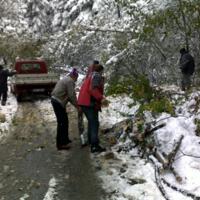 Zdjęcie ilustracyjne wiadomości: Usuwanie skutków intensywnych opadów śniegu w Boguszowej – zobacz zdjęcia #1