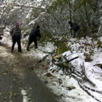 Zdjęcie ilustracyjne wiadomości: Usuwanie skutków intensywnych opadów śniegu w Boguszowej – zobacz zdjęcia #2