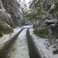 Zdjęcie ilustracyjne wiadomości: Usuwanie skutków intensywnych opadów śniegu w Boguszowej – zobacz zdjęcia #6