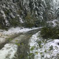 Zdjęcie ilustracyjne wiadomości: Usuwanie skutków intensywnych opadów śniegu w Boguszowej – zobacz zdjęcia #7