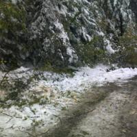 Zdjęcie ilustracyjne wiadomości: Usuwanie skutków intensywnych opadów śniegu w Boguszowej – zobacz zdjęcia #8