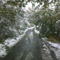 Zdjęcie ilustracyjne wiadomości: Usuwanie skutków intensywnych opadów śniegu w Boguszowej – zobacz zdjęcia #9