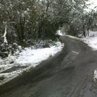 Zdjęcie ilustracyjne wiadomości: Usuwanie skutków intensywnych opadów śniegu w Boguszowej – zobacz zdjęcia #10