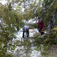 Zdjęcie ilustracyjne wiadomości: Usuwanie skutków intensywnych opadów śniegu w Boguszowej – zobacz zdjęcia #16