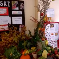 Zdjęcie ilustracyjne wiadomości: „Jesienny kosz owocowo-warzywny”  w Zespole Szkół w Biczycach Dolnych #11