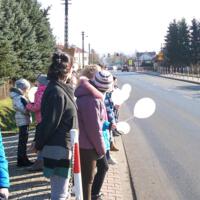 Zdjęcie ilustracyjne wiadomości: Marsz Poparcia Trzeźwości na Drogach Małopolski #4