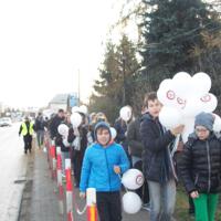 Zdjęcie ilustracyjne wiadomości: Marsz Poparcia Trzeźwości na Drogach Małopolski #6