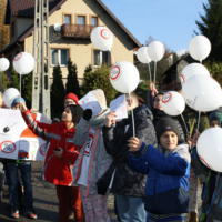 Zdjęcie ilustracyjne wiadomości: Marsz Poparcia Trzeźwości na Drogach Małopolski #19