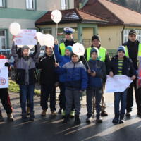 Zdjęcie ilustracyjne wiadomości: Marsz Poparcia Trzeźwości na Drogach Małopolski #20