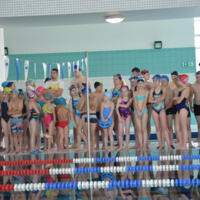 Zdjęcie ilustracyjne wiadomości: Jubileuszowe XV Mistrzostwa Pływackie Gminy Chełmiec. #5