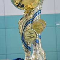 Zdjęcie ilustracyjne wiadomości: Jubileuszowe XV Mistrzostwa Pływackie Gminy Chełmiec. #63