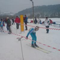 Zdjęcie ilustracyjne wiadomości: Szkolne mistrzostwa Powiatu Nowosądeckiego w biegach narciarskich #5