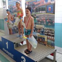 Zdjęcie ilustracyjne wiadomości: XVI Pływackie Mistrzostwa Gminy Chełmiec #8