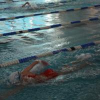 Zdjęcie ilustracyjne wiadomości: XVI Pływackie Mistrzostwa Gminy Chełmiec #41
