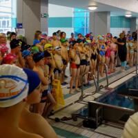 Zdjęcie ilustracyjne wiadomości: Mistrzostwa Pływackie Gminy Chełmiec #4