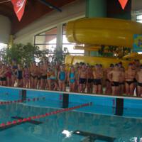 Zdjęcie ilustracyjne wiadomości: VIII Mistrzostwa Pływackie Gminy Chełmiec #2