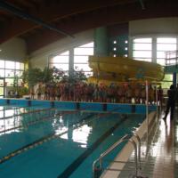 Zdjęcie ilustracyjne wiadomości: VIII Mistrzostwa Pływackie Gminy Chełmiec #3