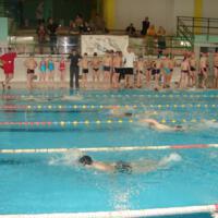 Zdjęcie ilustracyjne wiadomości: VIII Mistrzostwa Pływackie Gminy Chełmiec #5