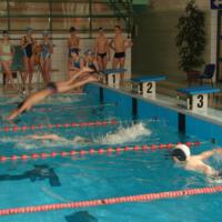 Zdjęcie ilustracyjne wiadomości: VIII Mistrzostwa Pływackie Gminy Chełmiec #6