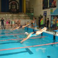 Zdjęcie ilustracyjne wiadomości: VIII Mistrzostwa Pływackie Gminy Chełmiec #11