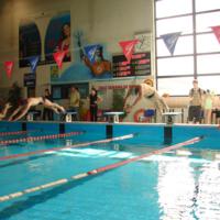 Zdjęcie ilustracyjne wiadomości: VIII Mistrzostwa Pływackie Gminy Chełmiec #12