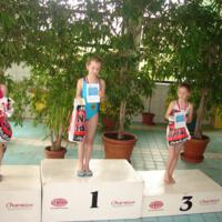 Zdjęcie ilustracyjne wiadomości: VIII Mistrzostwa Pływackie Gminy Chełmiec #18