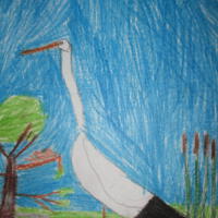Zdjęcie ilustracyjne wiadomości: Konkurs plastyczny „Ptaki, ptaszki, ptaszyska” #37